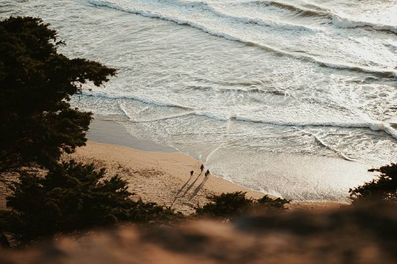 mollie-sivaram-rCHq5h6Om84-unsplash