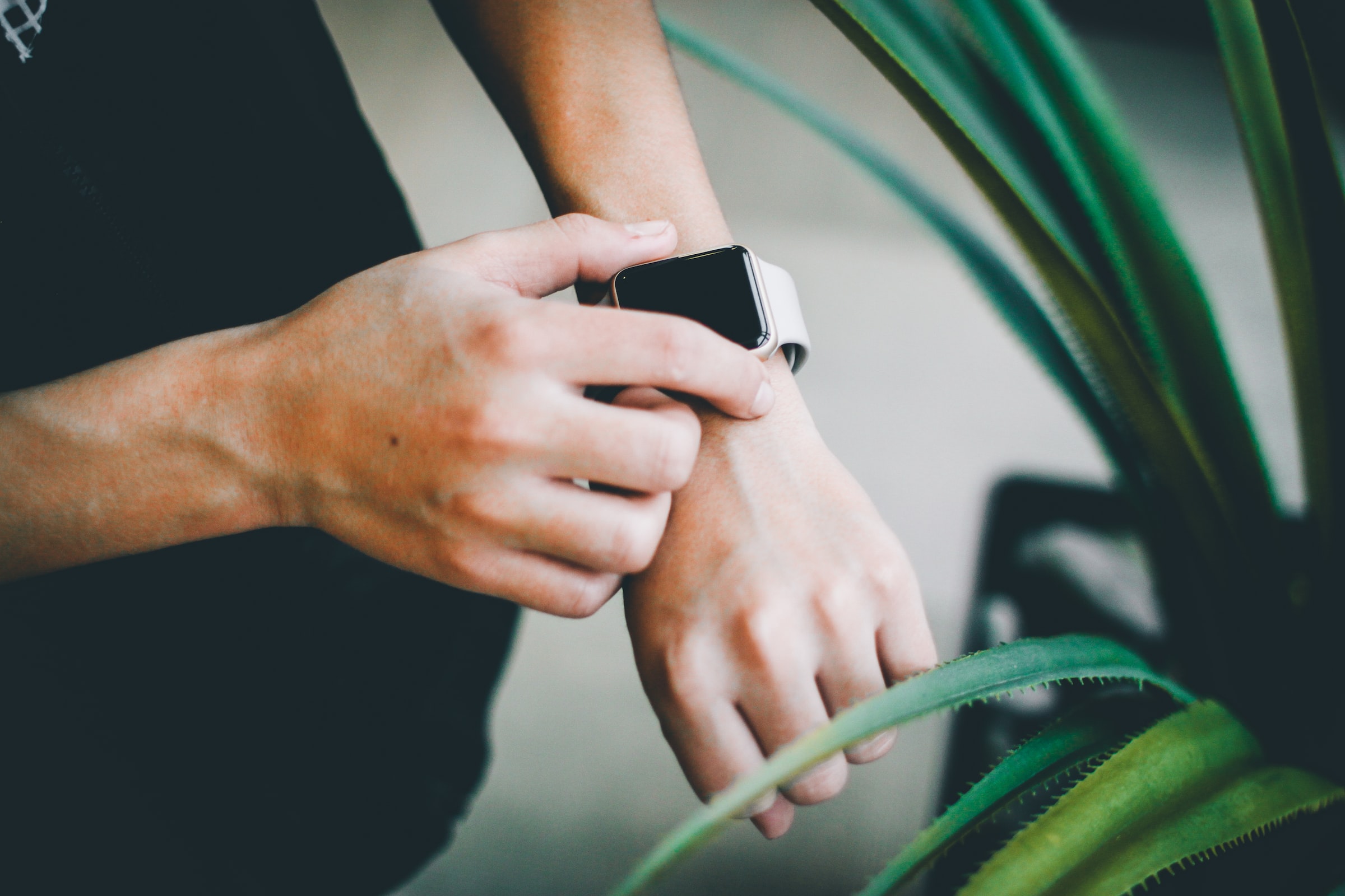 nick-jio-OelBY1phPfY-unsplash